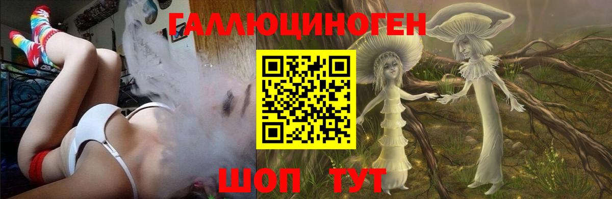 Заволжье  Галлюциногенные грибы GOLDEN TEACHER  Вход с VPN 
